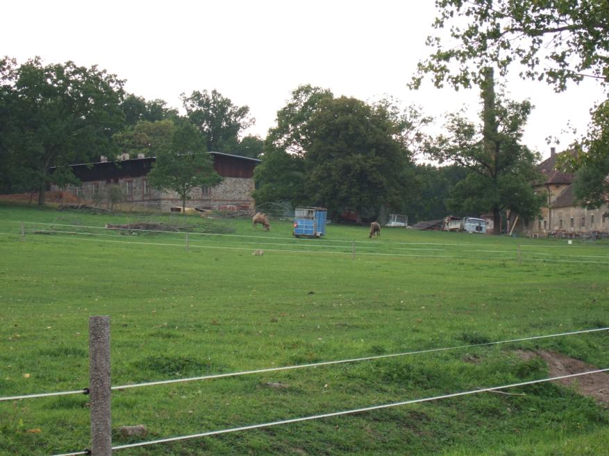 Pozemky